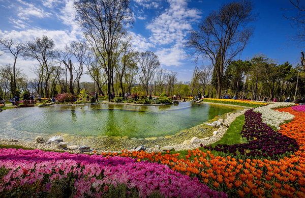 伊斯坦布尔市区内获得真正新鲜空气的地方