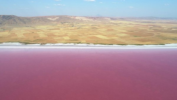 土耳其的盐湖图兹湖