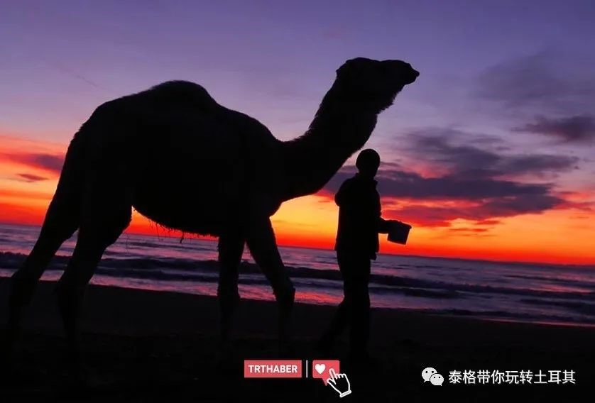 土耳其泰格地产 