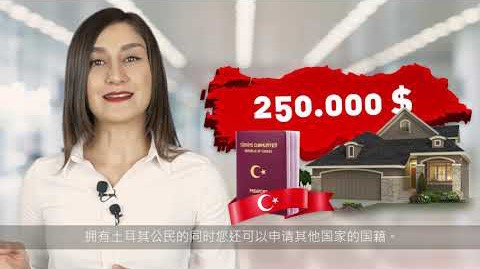 25万美金土耳其购房移民
