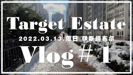 新年后的第二场雪 沉浸在伊斯坦布尔的冬天